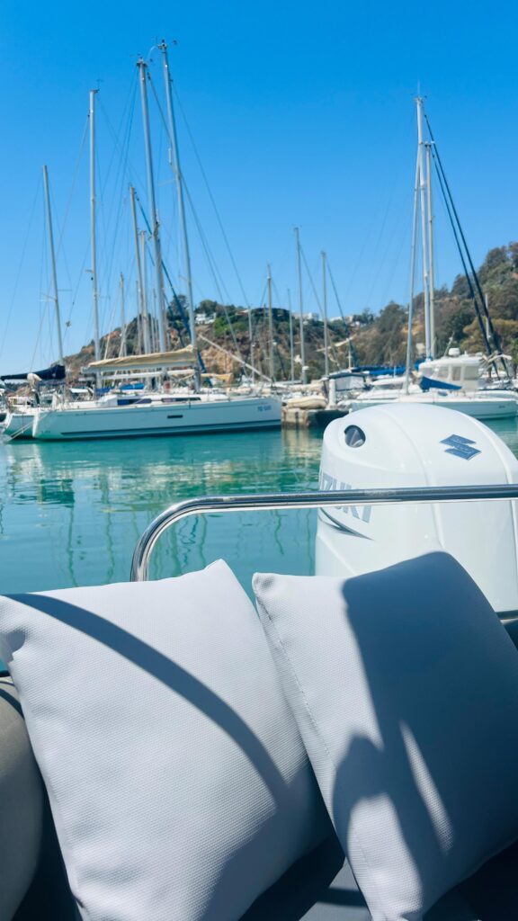 449410509_1128164815141830_1949258131748760438_n