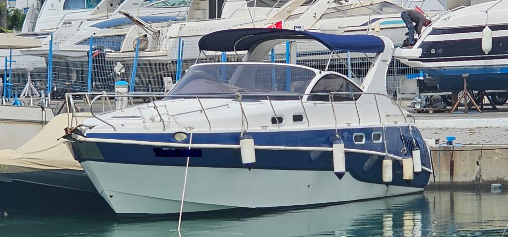 WhatsApp Image 2026-01-01 at 3.25.19 PM